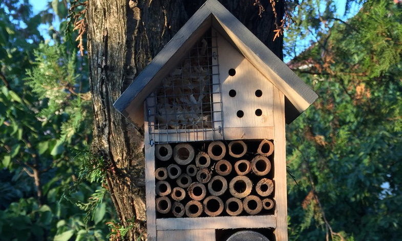 Méhhotel, ahol a rovarok luxusban pihennek