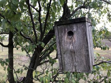 Téli madáretetés, madárvédelem Sipos Gazdával