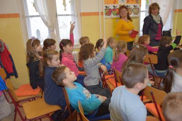 Pályaválasztási nap Sipos Gazdával képekben