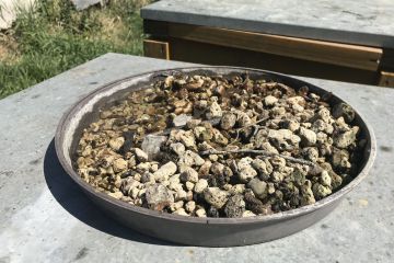 Méhek napján az MTVA, Ma délután műsorában...