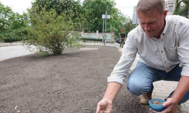 Tavaszi méhlegelők kialakítása Budapest 12. kerületében