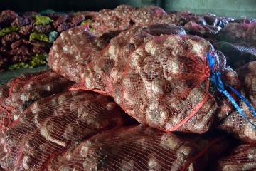 Fokhagyma, a természet igaz orvossága…