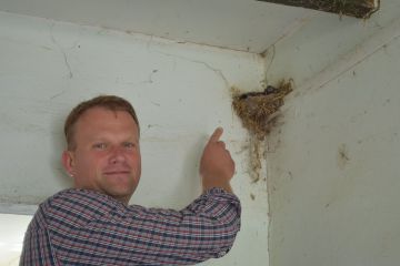 Tegyünk Együtt a fecskékért…