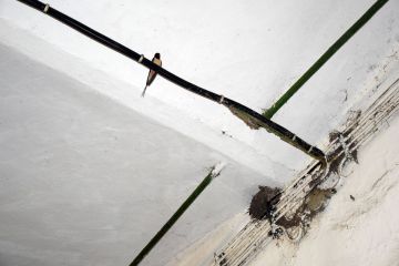 Tegyünk Együtt a fecskékért…