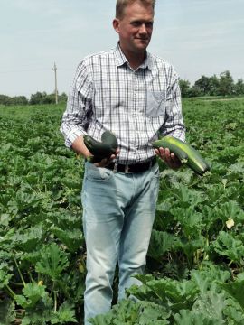 Cukkini: a zöldség, ami gyümölcs