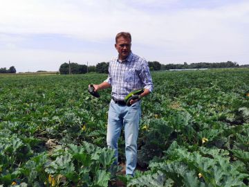 Cukkini: a zöldség, ami gyümölcs