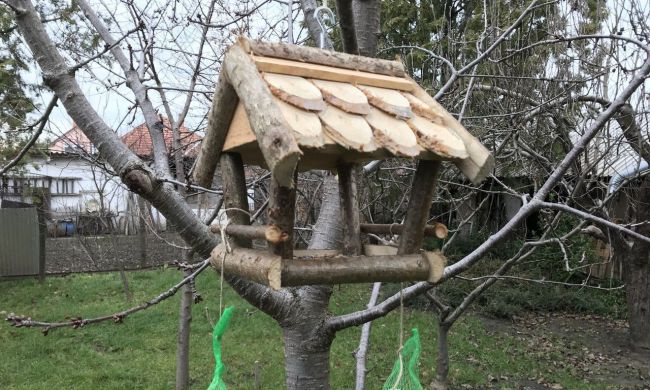 A madarak a barátaink...