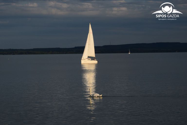 A kék arany, a víz