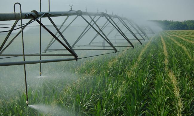 Hatékony szántóföldi öntözési technológiák
