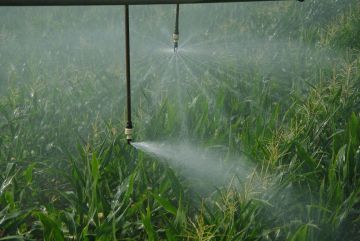 Hatékony szántóföldi öntözési technológiák