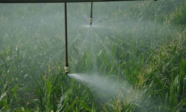 Hatékony szántóföldi öntözési technológiák