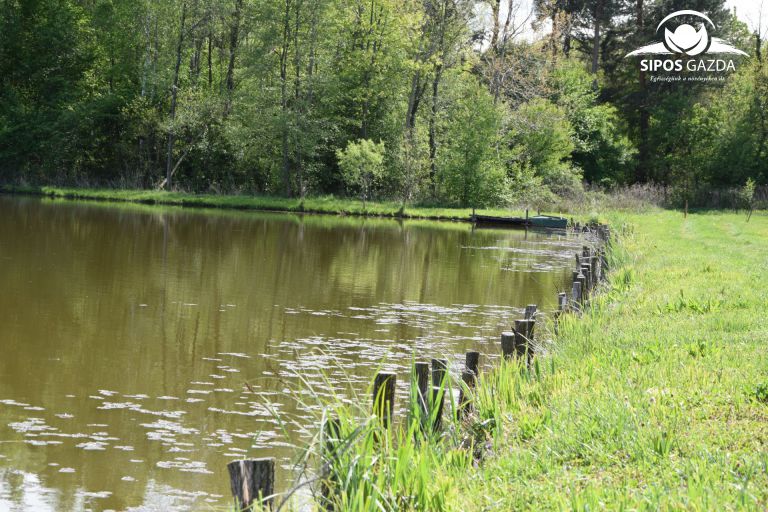Vizes élőhelyek védelmében…