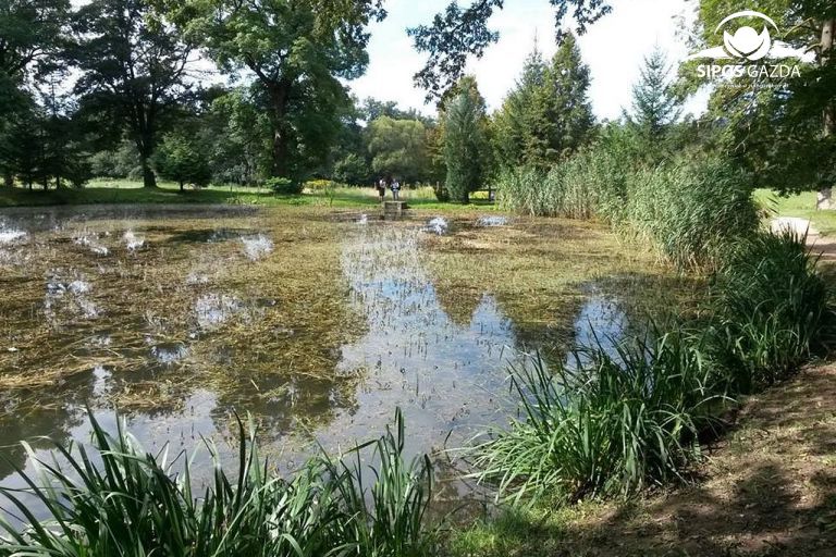 Vizes élőhelyek védelmében…