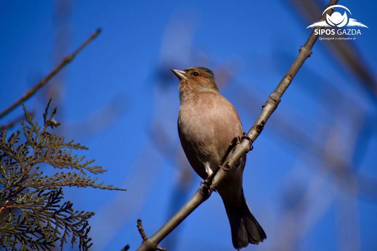 Vizes élőhelyek védelmében…