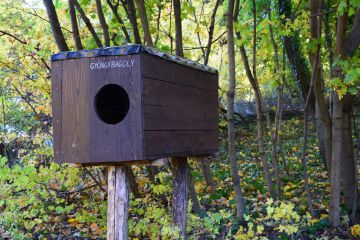 Készítsünk együtt madárodút!