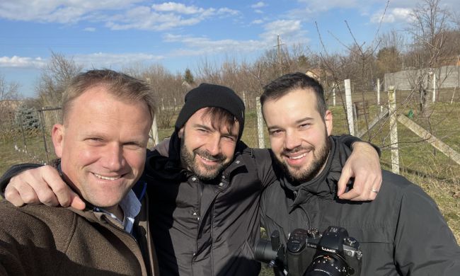 Metszésről, a fák korona alakításról…