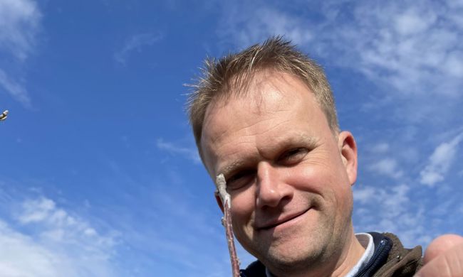 Metszésről, a fák korona alakításról…