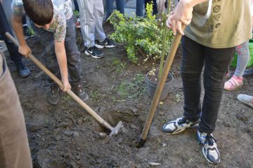 HISZÖK Nap- Óvd a teremtett világot!
