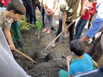 HISZÖK Nap- Óvd a teremtett világot!
