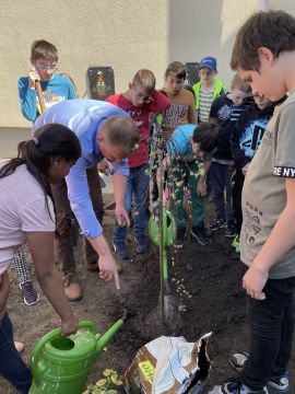 HISZÖK Nap- Óvd a teremtett világot!