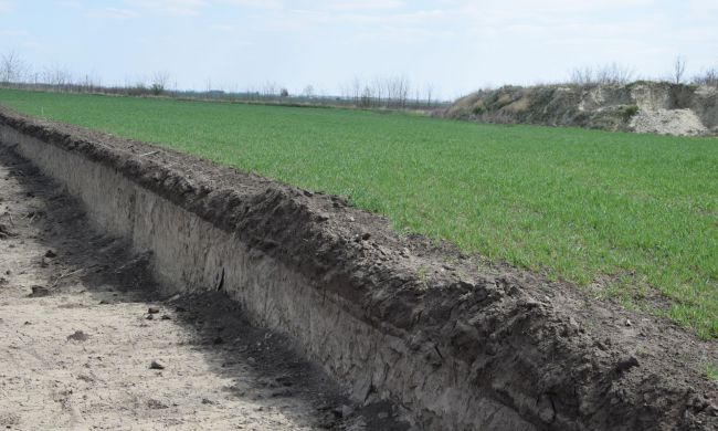 Hogyan lesz egészséges a talaj a kertünkben?