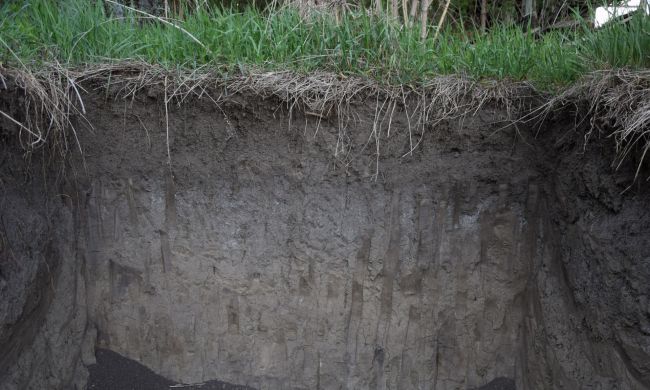 Hogyan lesz egészséges a talaj a kertünkben?