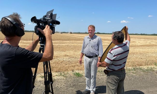 Az aszály hatása a búza betakarítására, a Csomorkányi pusztán