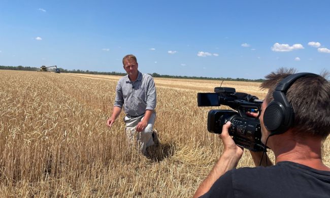 Az aszály hatása a búza betakarítására, a Csomorkányi pusztán