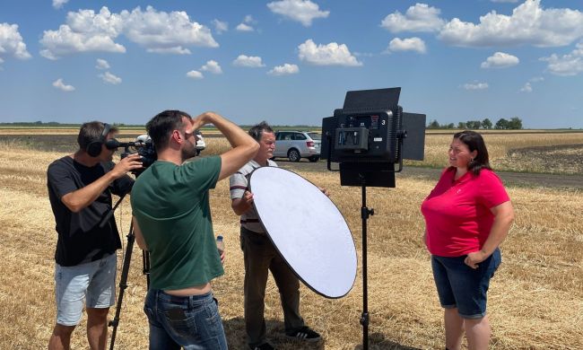 Az aszály hatása a búza betakarítására, a Csomorkányi pusztán