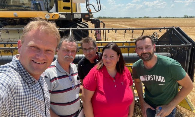 Az aszály hatása a búza betakarítására, a Csomorkányi pusztán