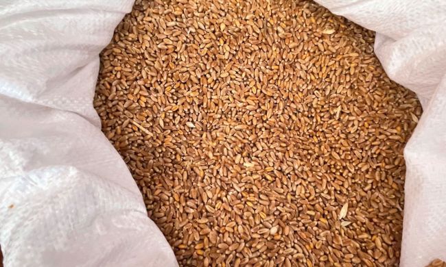 Miért válasszunk kovászos kenyeret?