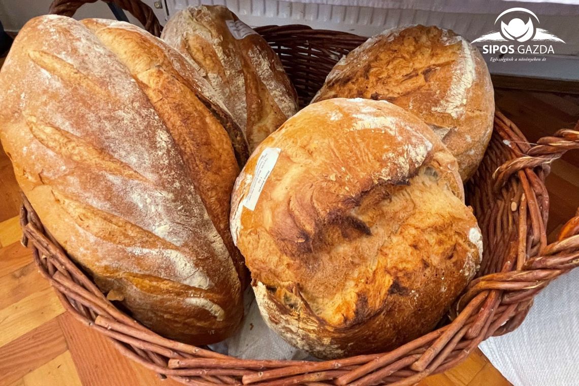 Miért válasszunk kovászos kenyeret?