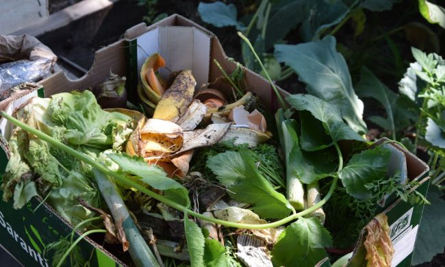 Komposztáljuk… - MTVA műsorában is