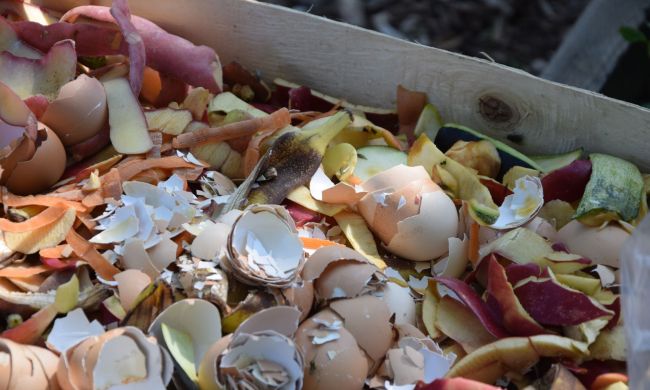 Komposztáljuk… - MTVA műsorában is