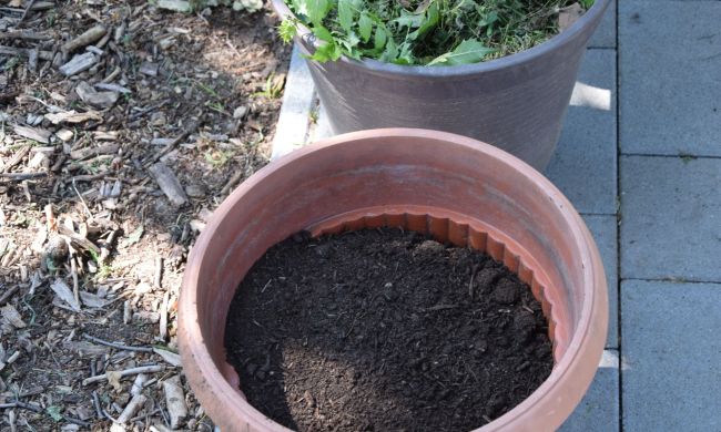 Komposztáljuk… - MTVA műsorában is