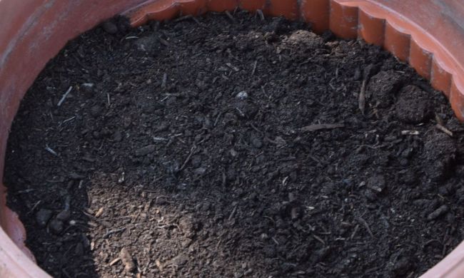 Komposztáljuk… - MTVA műsorában is