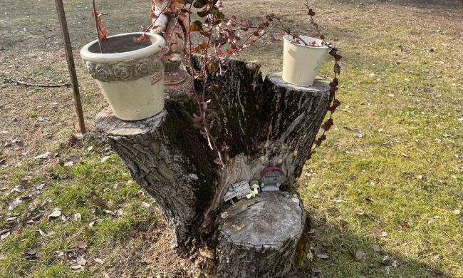 Fatuskó dekoráció