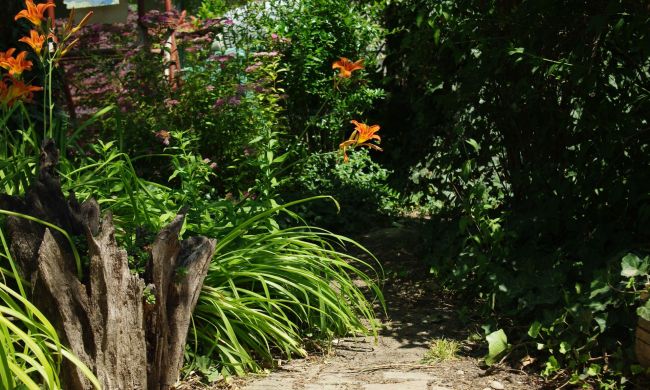 Fatuskó dekoráció