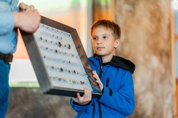 Tavaszi kertészeti szakmai praktikákról, növényvédelemről