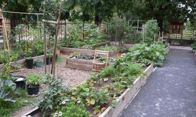 A magaságyás előnyei