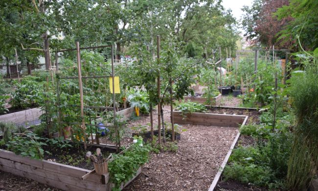 A magaságyás előnyei