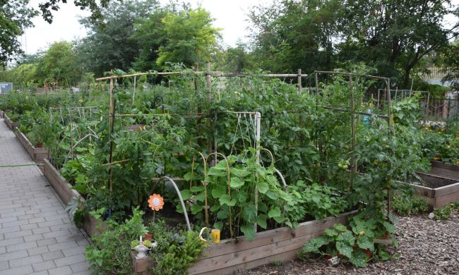 A magaságyás előnyei