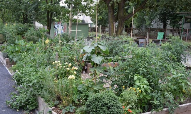 A magaságyás előnyei