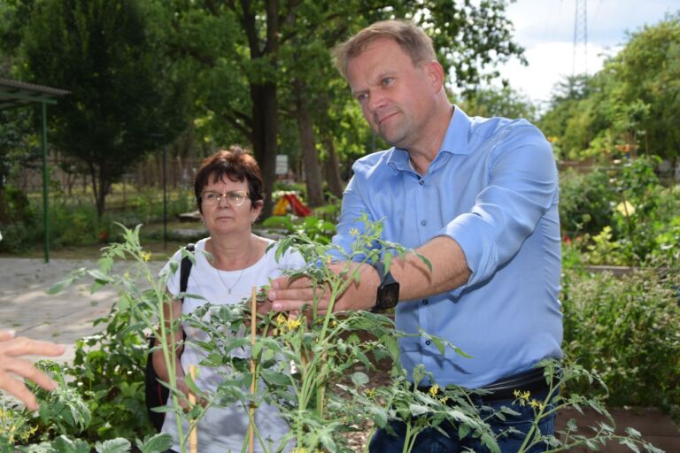 Foodscaping – A kertészkedés új dimenziója