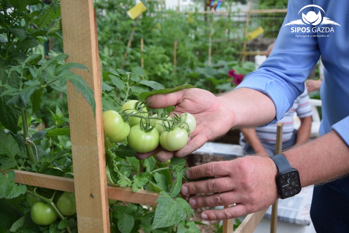 Foodscaping – A kertészkedés új dimenziója
