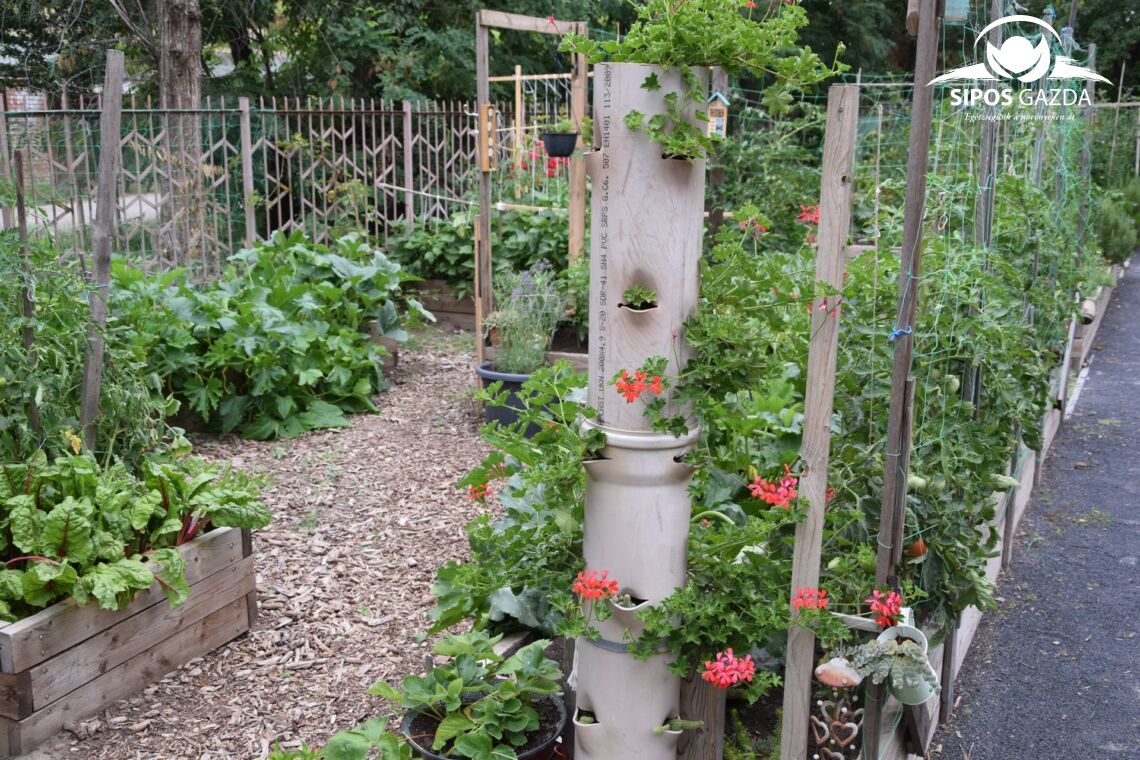 Foodscaping – A kertészkedés új dimenziója
