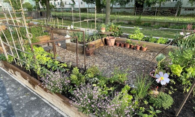 Foodscaping – A kertészkedés új dimenziója