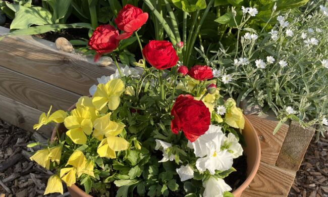 Foodscaping – A kertészkedés új dimenziója