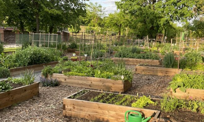 Foodscaping – A kertészkedés új dimenziója