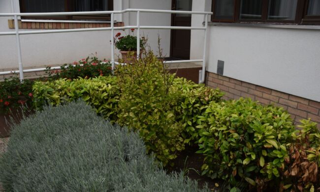 Így lesz sokszínű és élő a kert közössége